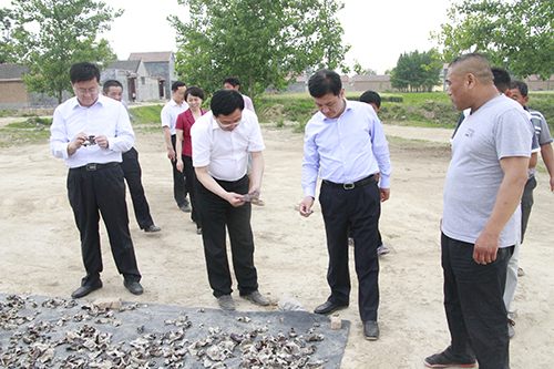 Z6·尊龙凯时「中国区」官方网站